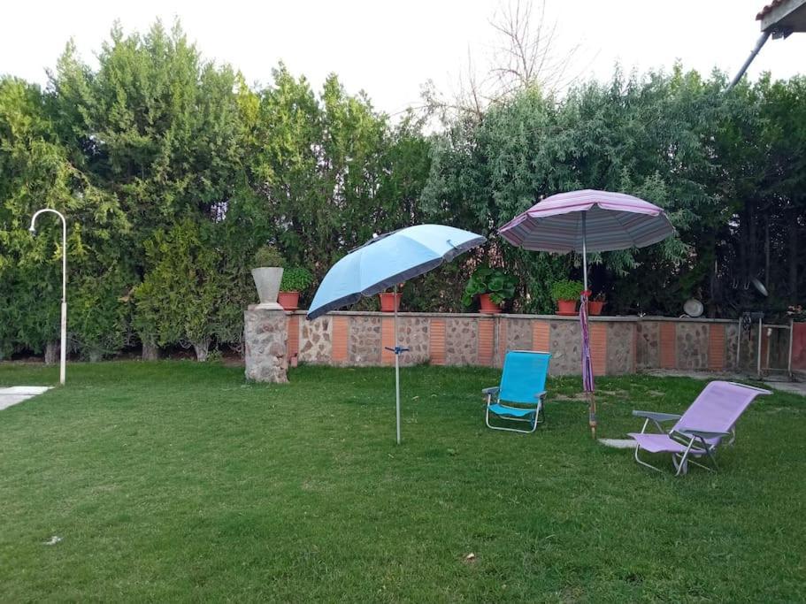 Finca Denunez Villa La Mata  Kültér fotó