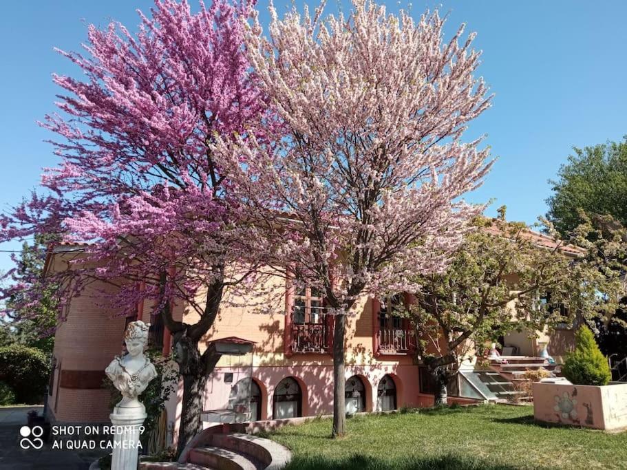 Finca Denunez Villa La Mata  Kültér fotó