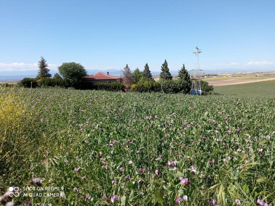 Finca Denunez Villa La Mata  Kültér fotó