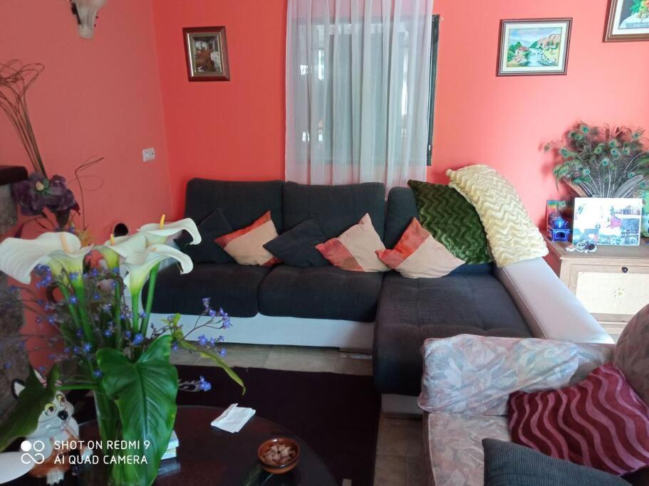 Finca Denunez Villa La Mata  Kültér fotó
