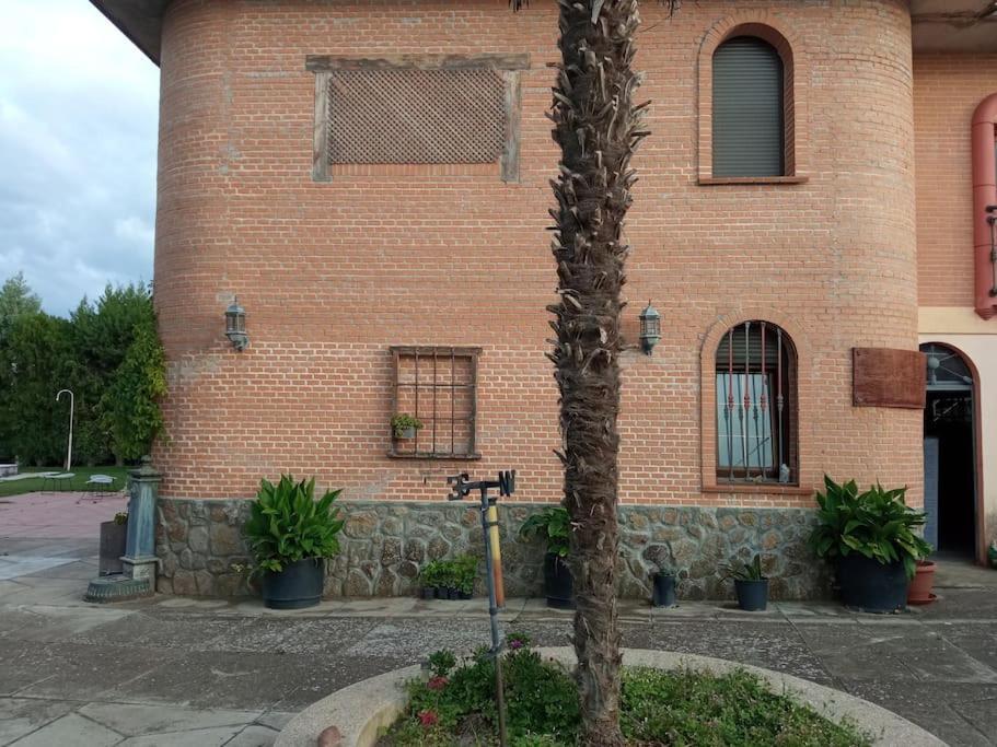 Finca Denunez Villa La Mata  Kültér fotó